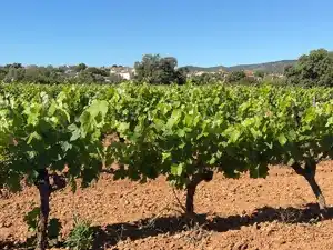 Vista exterior de Terreno en venta en Santa Oliva
