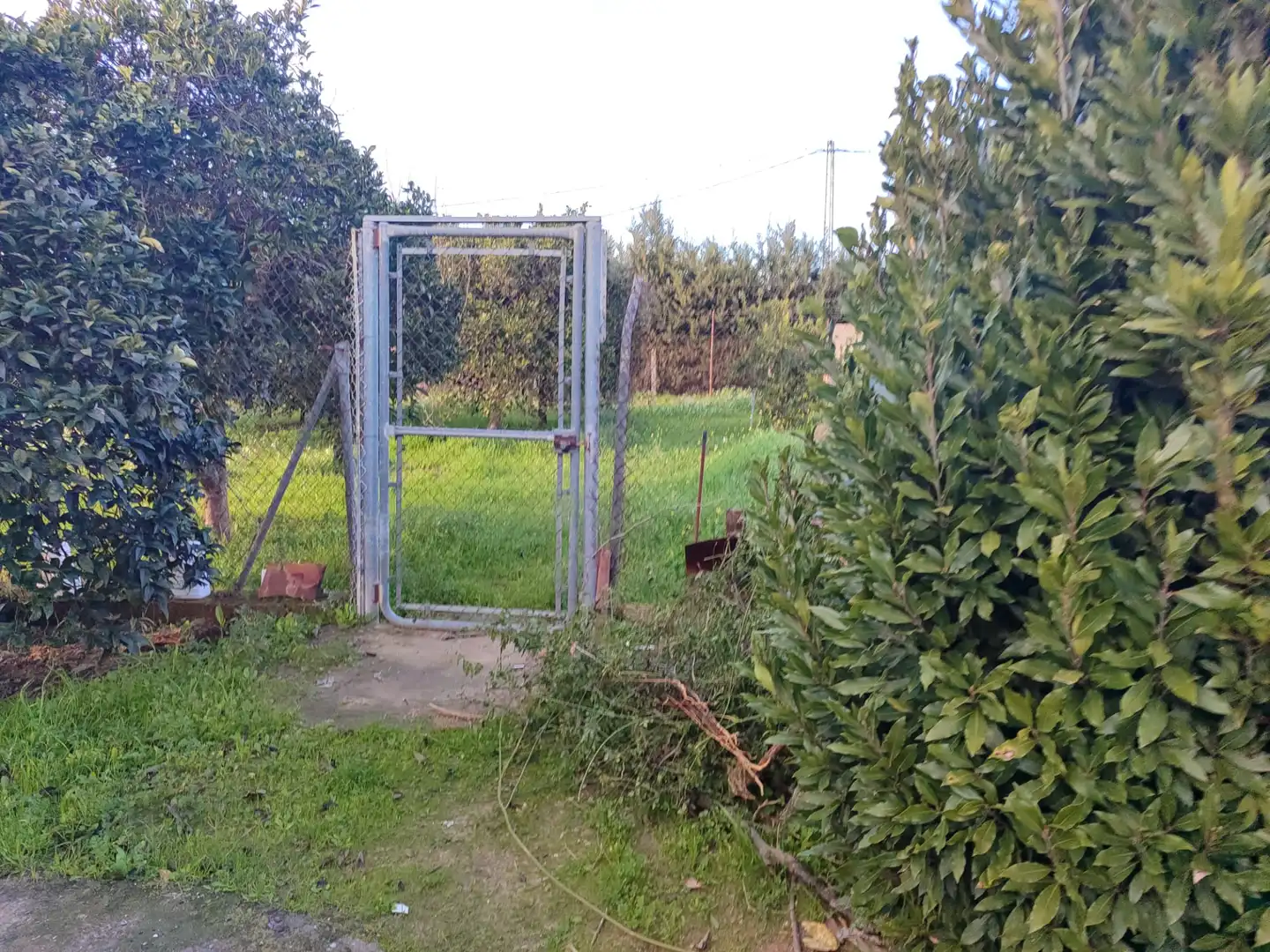 Jardín de Casa o chalet en venta en Utrera con Aire acondicionado, Jardín privado y Terraza