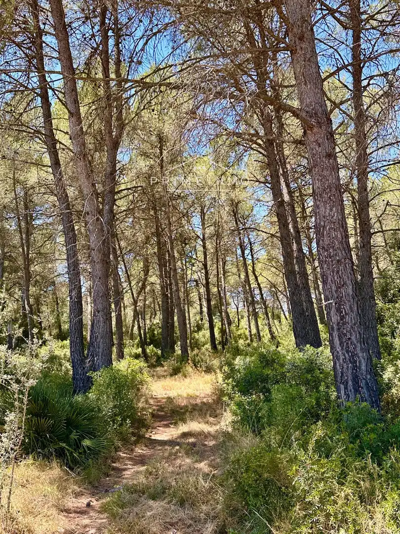 Finca rústica en venda en El Perelló amb Terrassa, Traster i Piscina