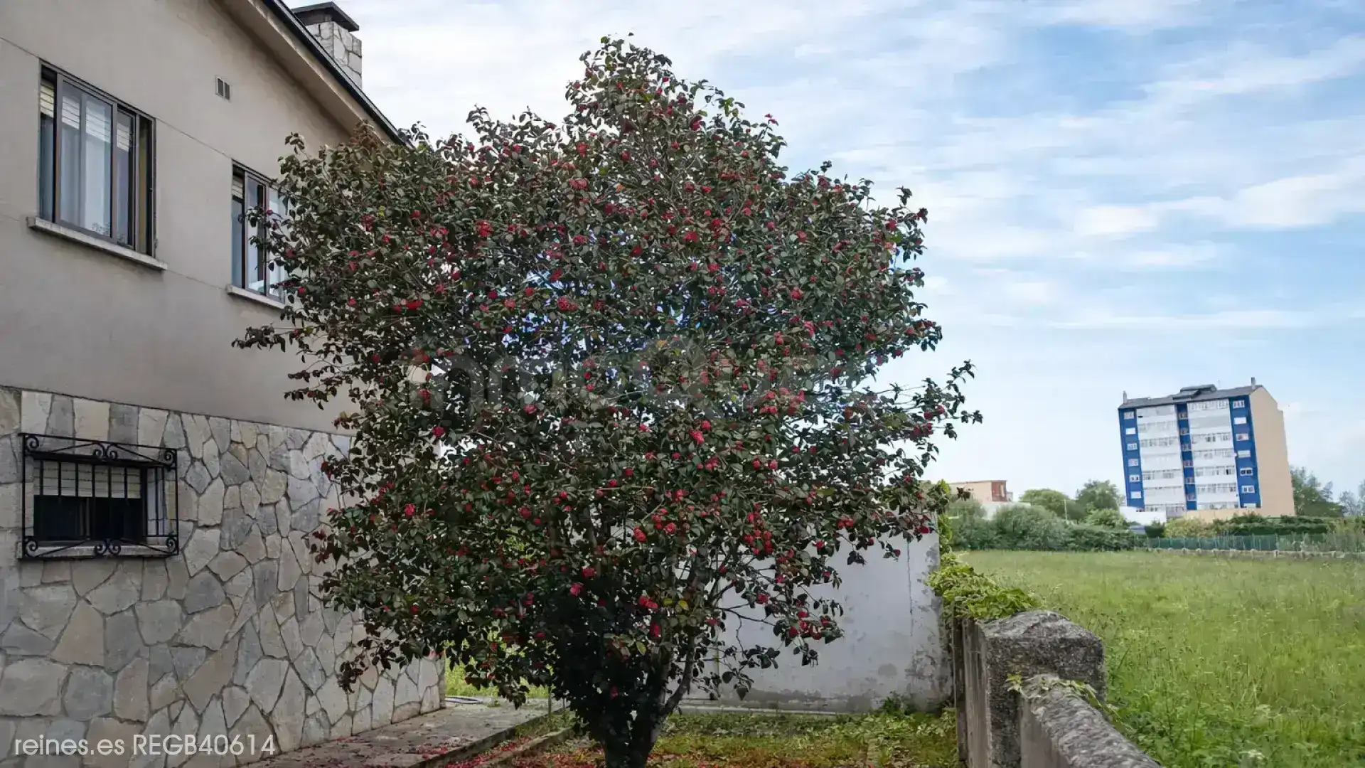 Xalet amb jardí en venda a N/A, imagen 7