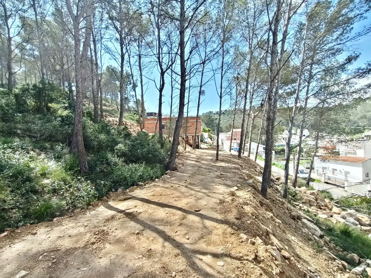 Terreno residencial en venta en Carrer PRINCIPAL 29, imagen 3