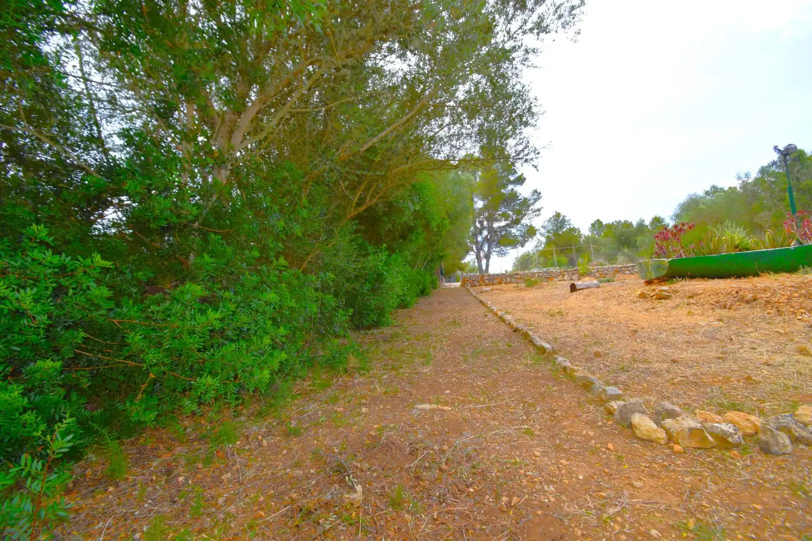 Finca rústica en venda a Petra