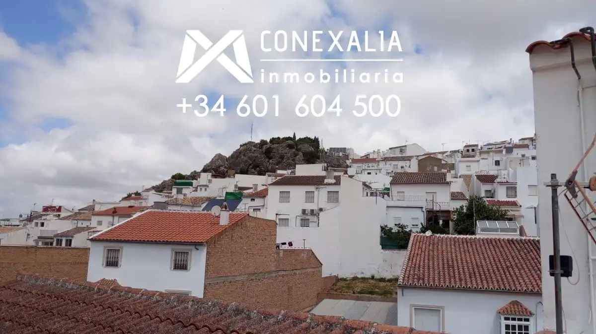 Casa con terrazza in vendita a Olvera, imagen 44
