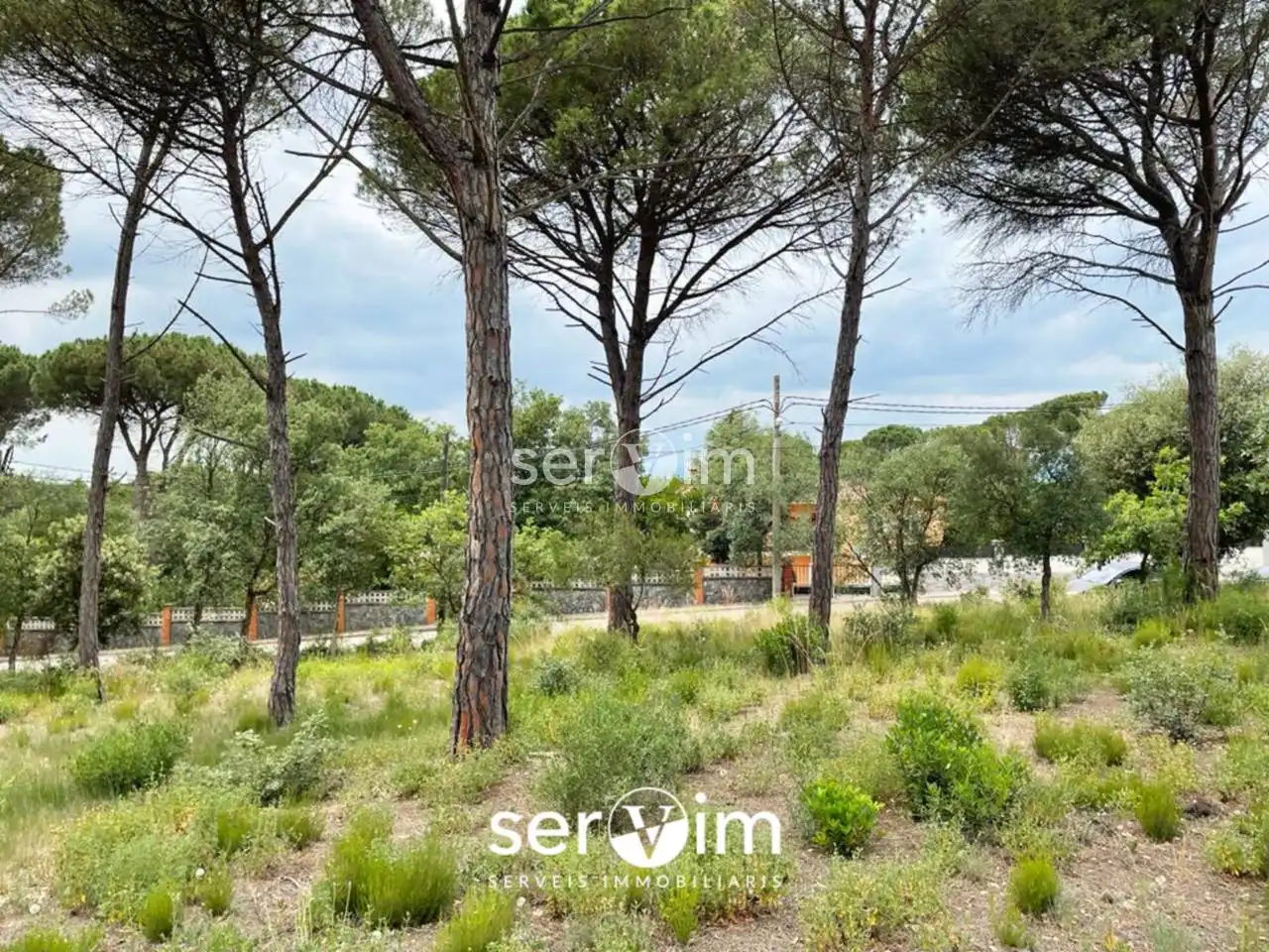 Terrain résidentiel à vendre à Avenida Malavella 208, imagen 2