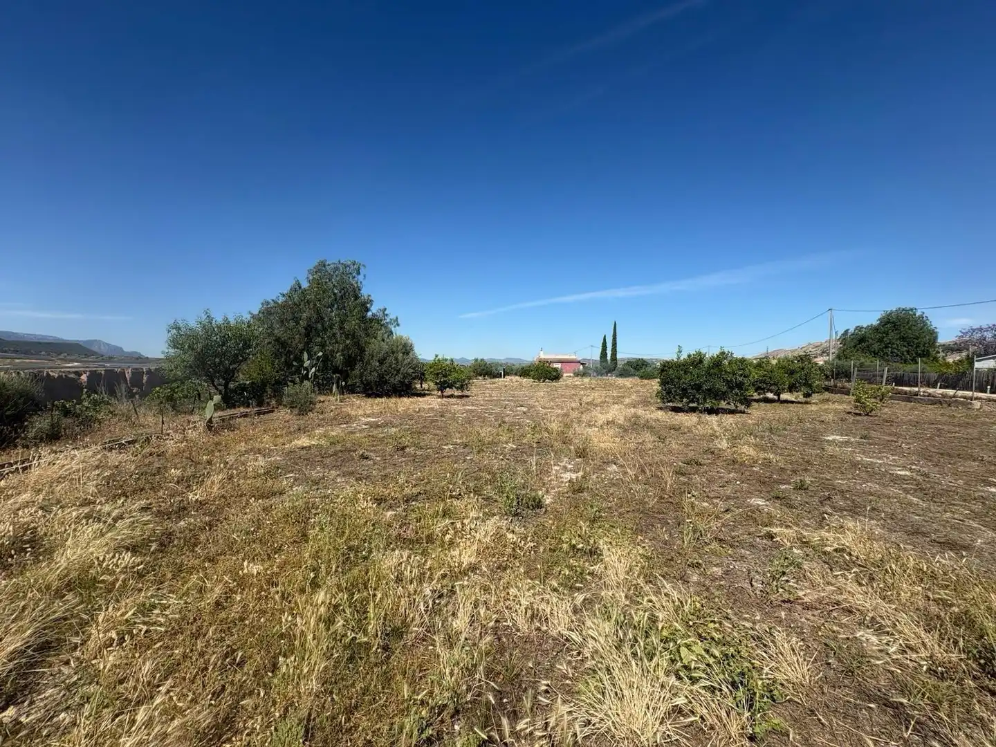 Land for sale in Murcia