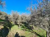 Terreni e lotti in vendita a Arenas de San Pedro, imagen 11