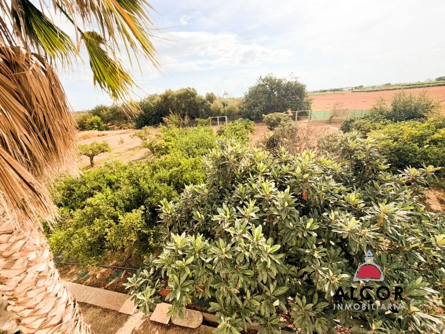 Casa rustica con terrazza in vendita a Las Atalayas - Urmi - Cerro de Mar, imagen 20