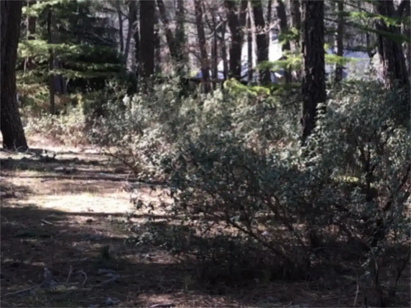Finca rústica en venda en Las Navas del Marqués  amb Piscina