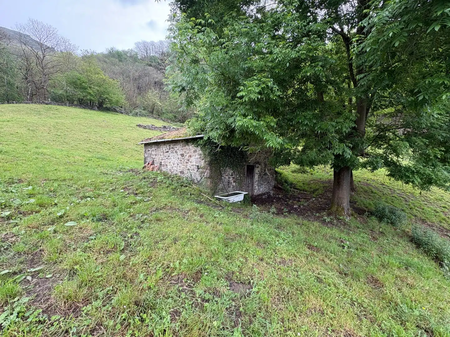 Casa o chalet en venta en Aller con Jardín privado