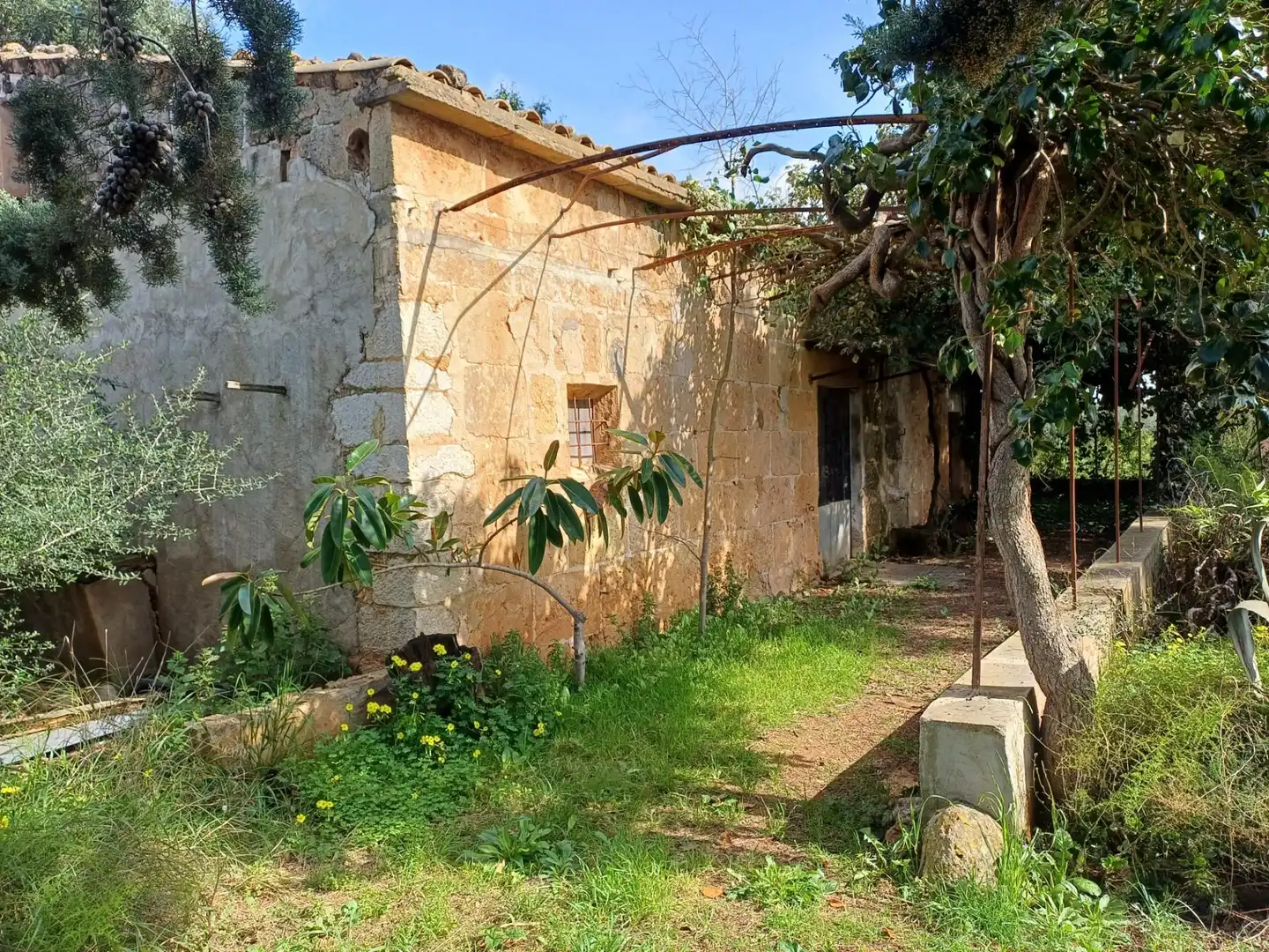 Maison rustique à vendre à Santa María del Camí, imagen 3