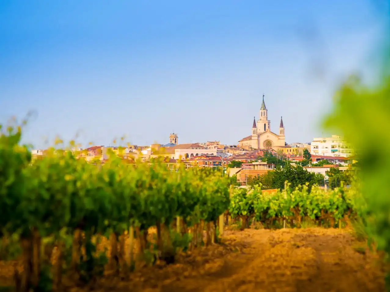 Vista exterior de Pis per a compartir en Vilafranca del Penedès amb Aire condicionat, Calefacció i Terrassa