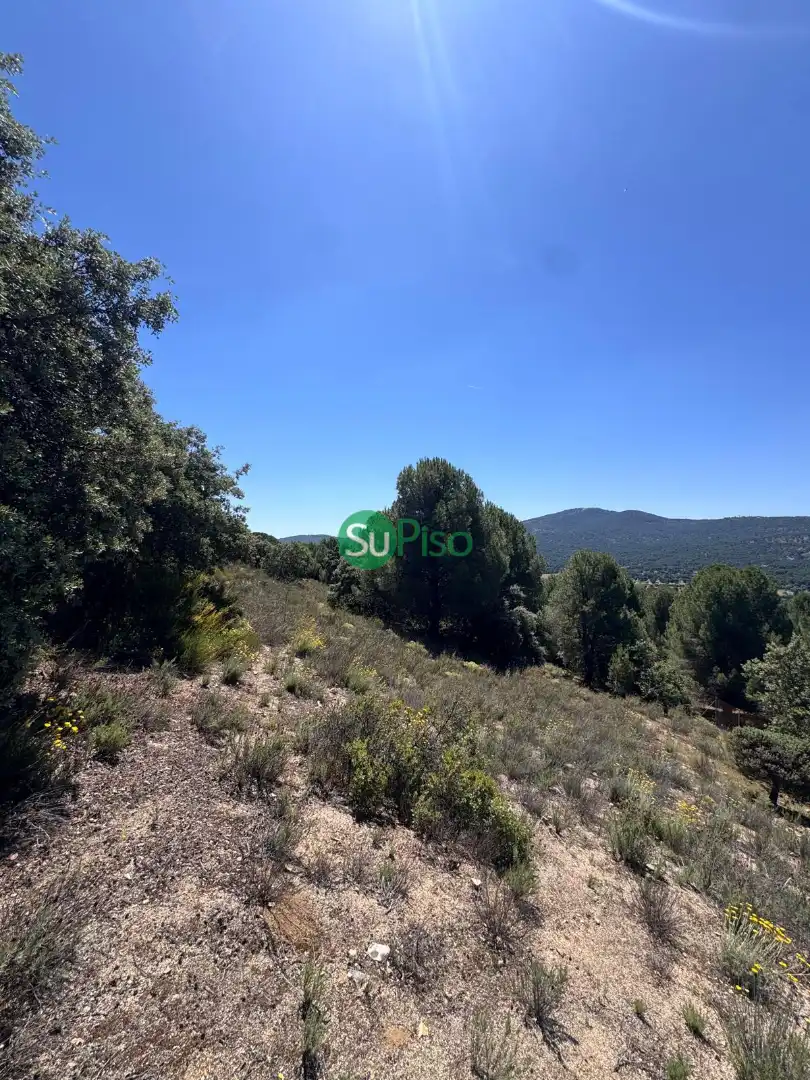 Casa o xalet en venda en San Martín de Valdeiglesias amb Jardí privat