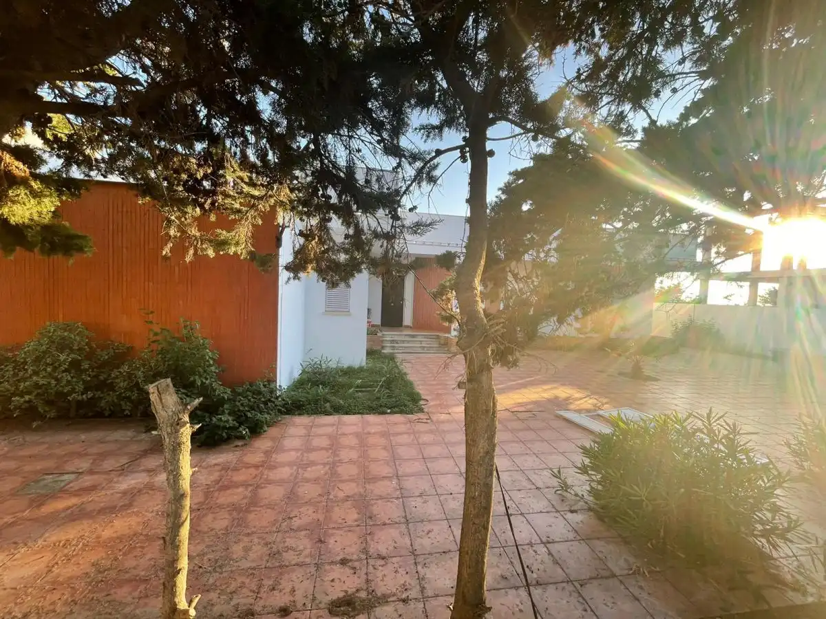 Vista exterior de Casa o chalet en venta en El Rompido con Terraza