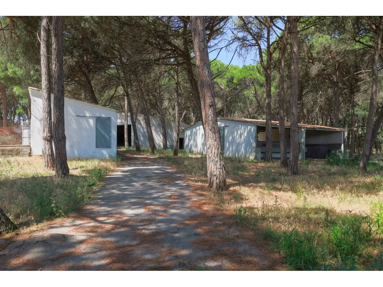 Maison rustique avec piscine à vendre à Camino burot 18, imagen 24