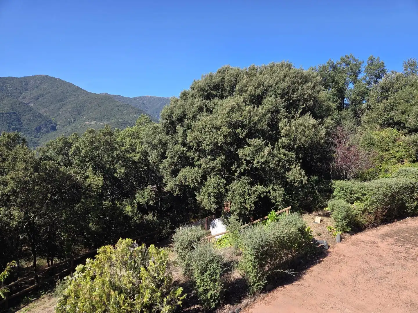Casa con terraza en venta en Fogars de Montclús, imagen 24