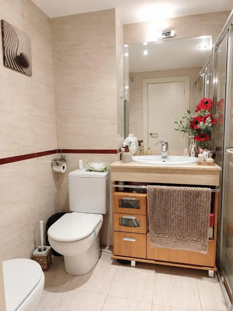 Flat with pool for sale in Jose Celestino Mutis, imagen 12