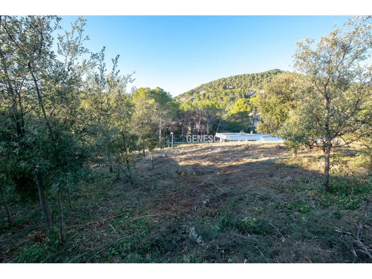 Terrain résidentiel à vendre à Calle Poeta Maragall 36