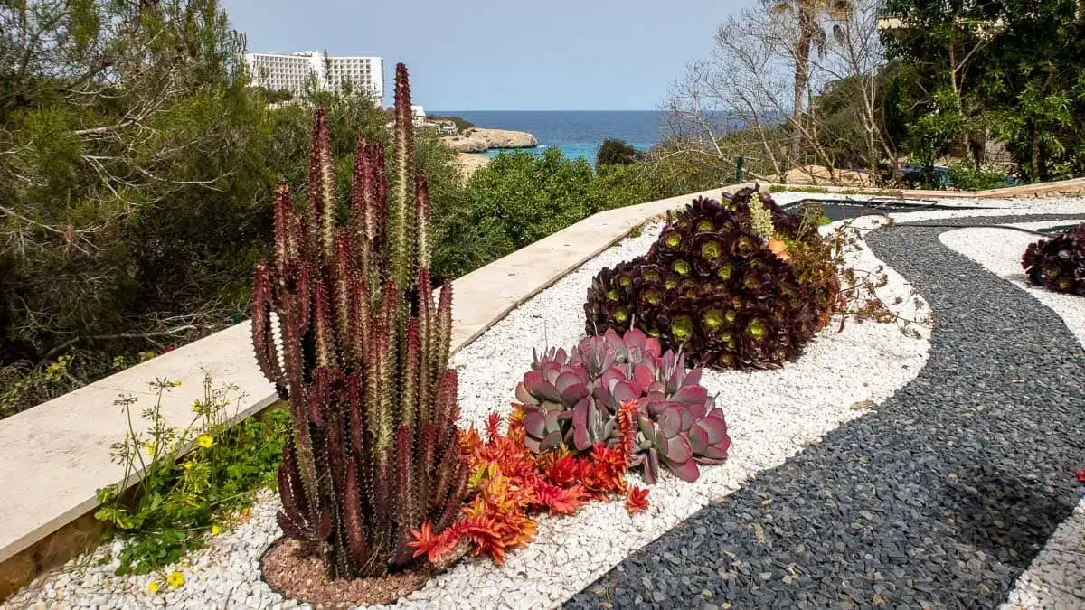 Garden of Houses for sale in Manacor  with Private garden, Terrace and Swimming Pool