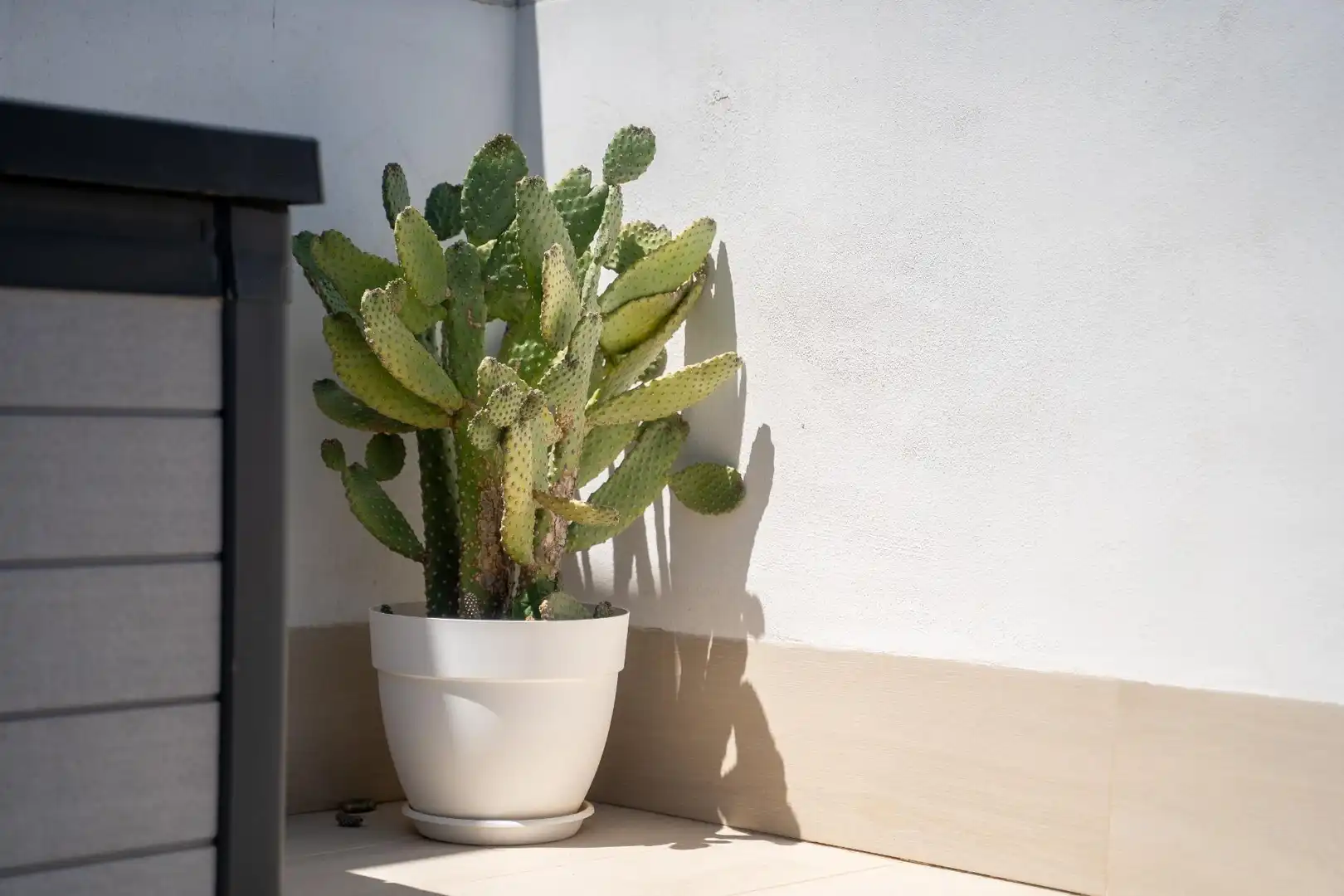 Casa pareada con terraza en venta en Orihuela Costa, imagen 78