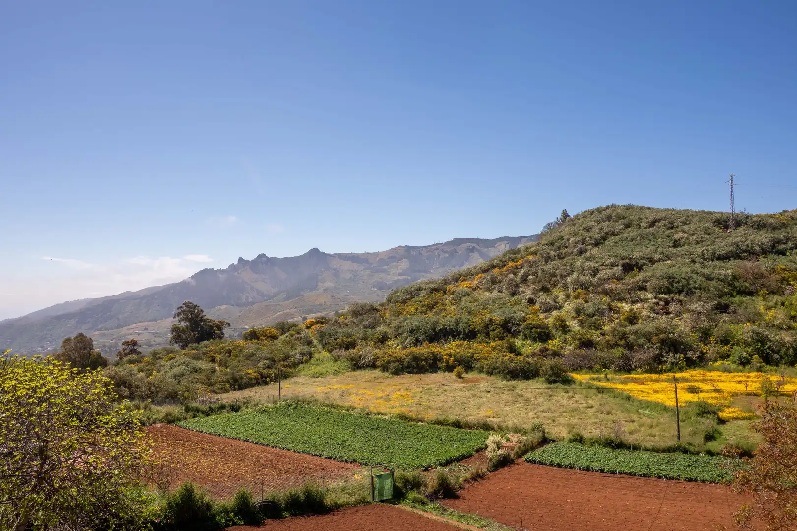 Jardí de Casa o xalet en venda en Vega de San Mateo amb Calefacció, Jardí privat i Terrassa