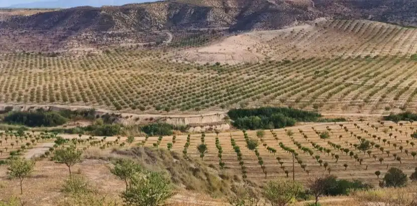 Vista exterior de Terreno en venta en Huélago