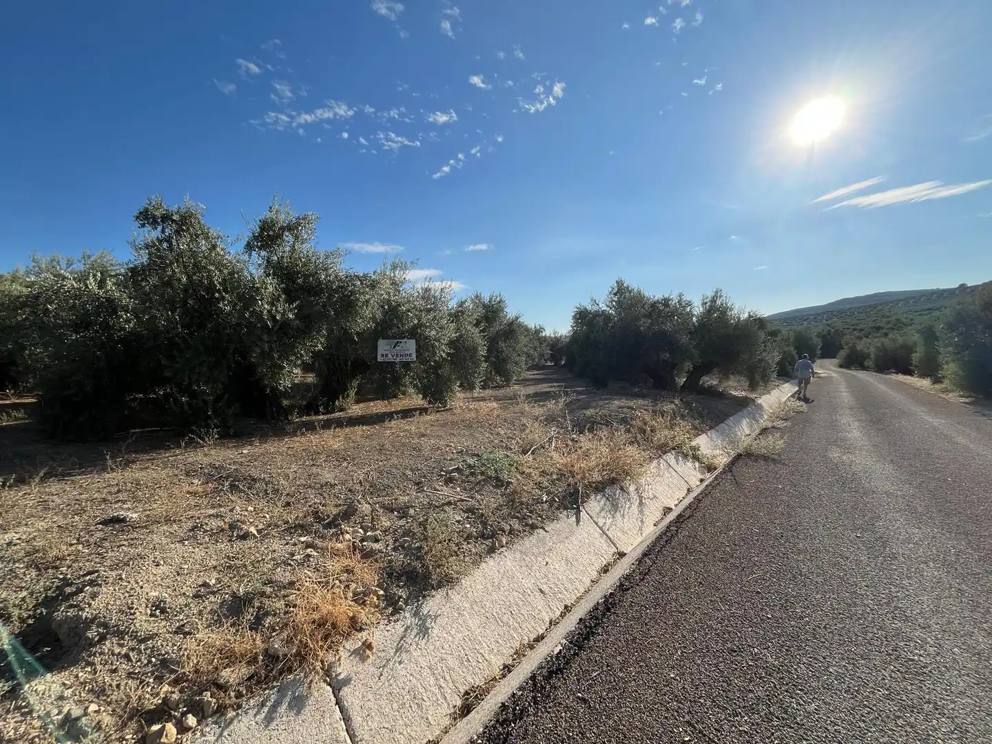 Terreno industrial en venta en Úbeda, imagen 11
