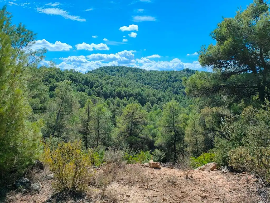 Rural land for sale in Horta de Sant Joan, imagen 5