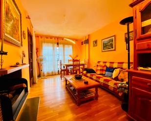 Living room of Flat for sale in Rialp