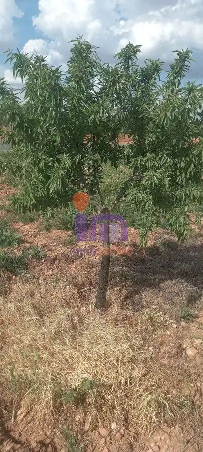 Finca rústica en venda en Valdepeñas