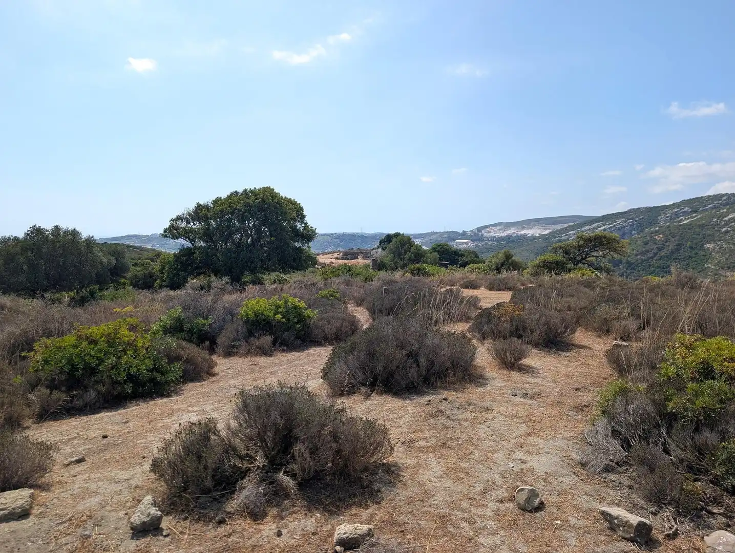 Terreno rustico in vendita a Casares 10, imagen 2