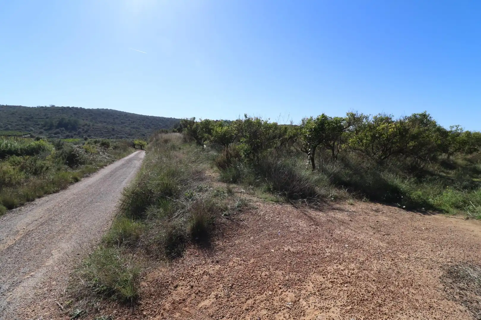 Grundstücke zum Verkauf in Ulldecona