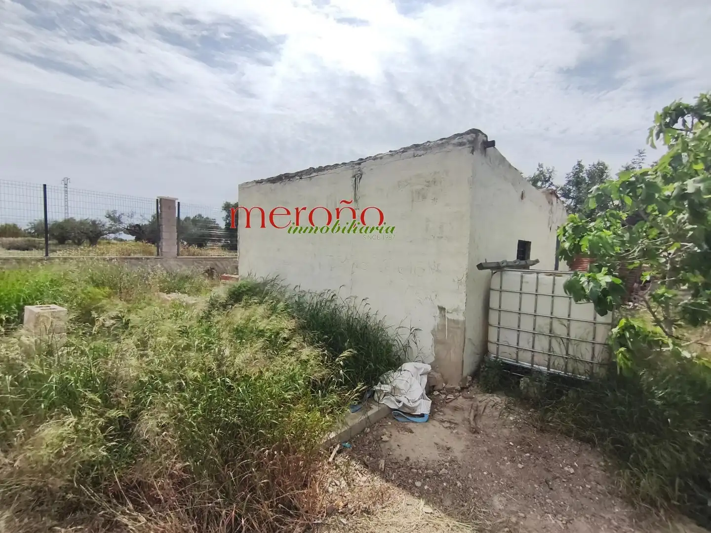 Casa o xalet en venda en Crevillent amb Terrassa