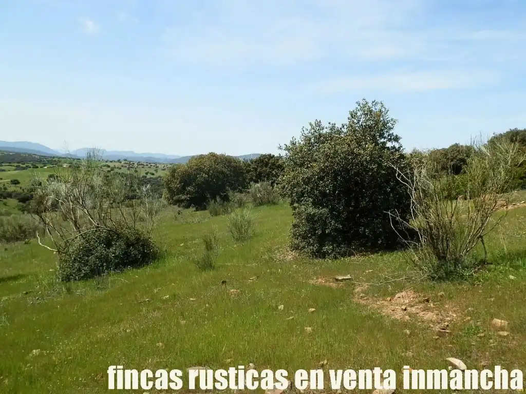 Rural land for sale in Calzada de Calatrava, imagen 29