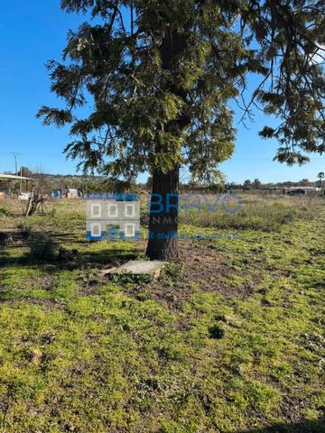 Terreno en Venta en Villanueva de la Serena