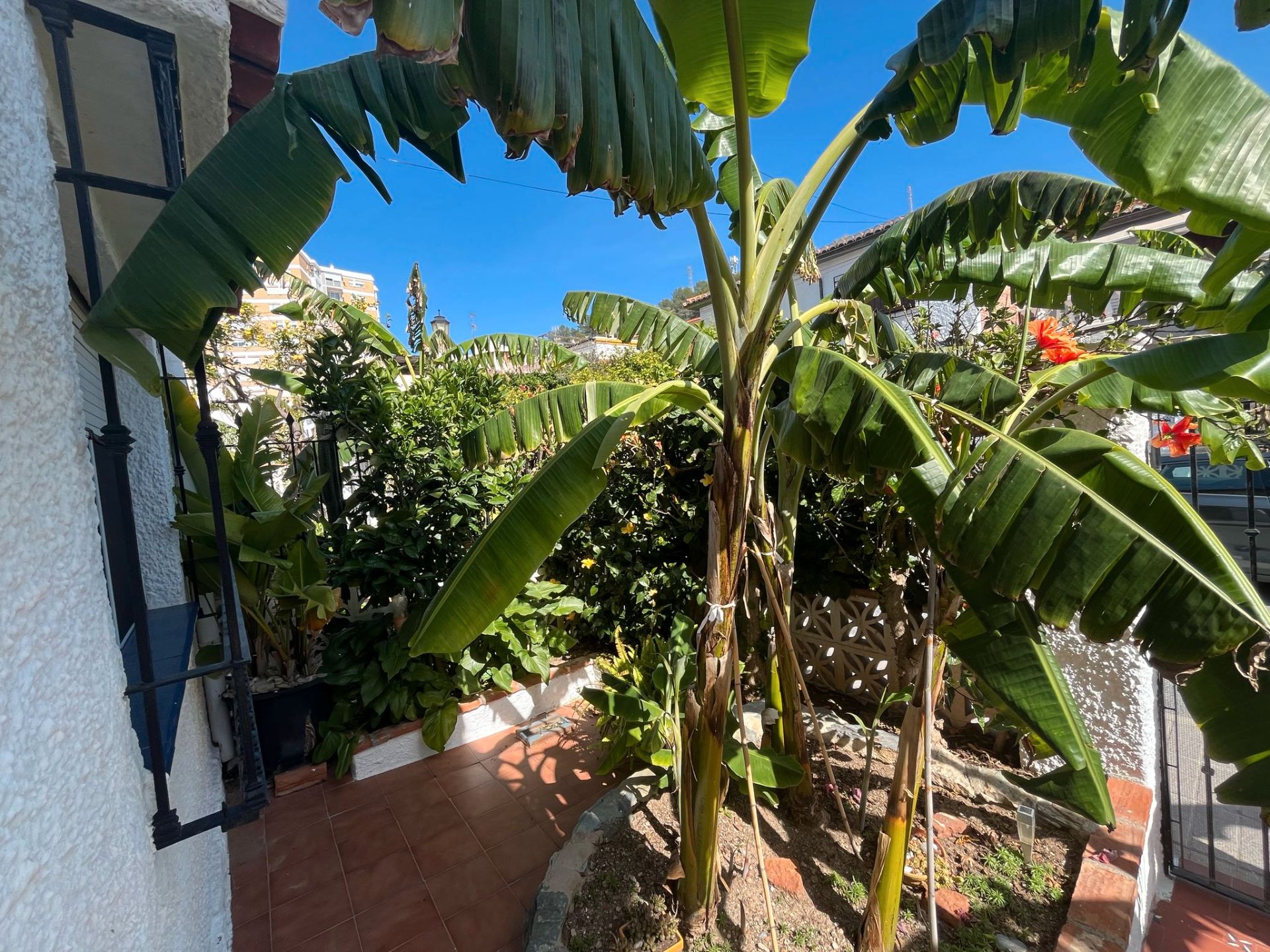 Jardí de Casa o xalet en venda en Torrenueva Costa amb Terrassa