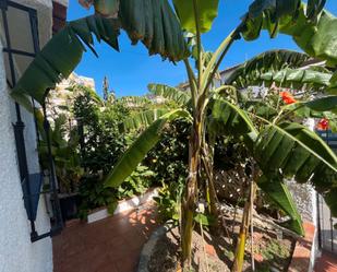 Garden of House or chalet for sale in Torrenueva Costa  with Terrace