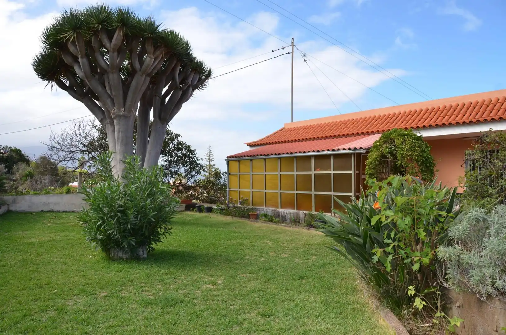 Jardín de Casa o chalet en venta en Santa Úrsula con Jardín privado, Terraza y Trastero