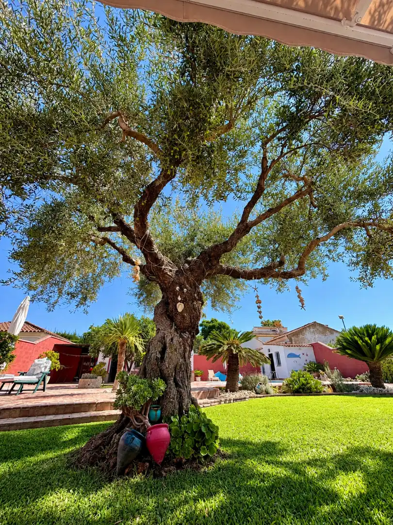 Detached house with pool for sale in Arcos de la Frontera, imagen 36