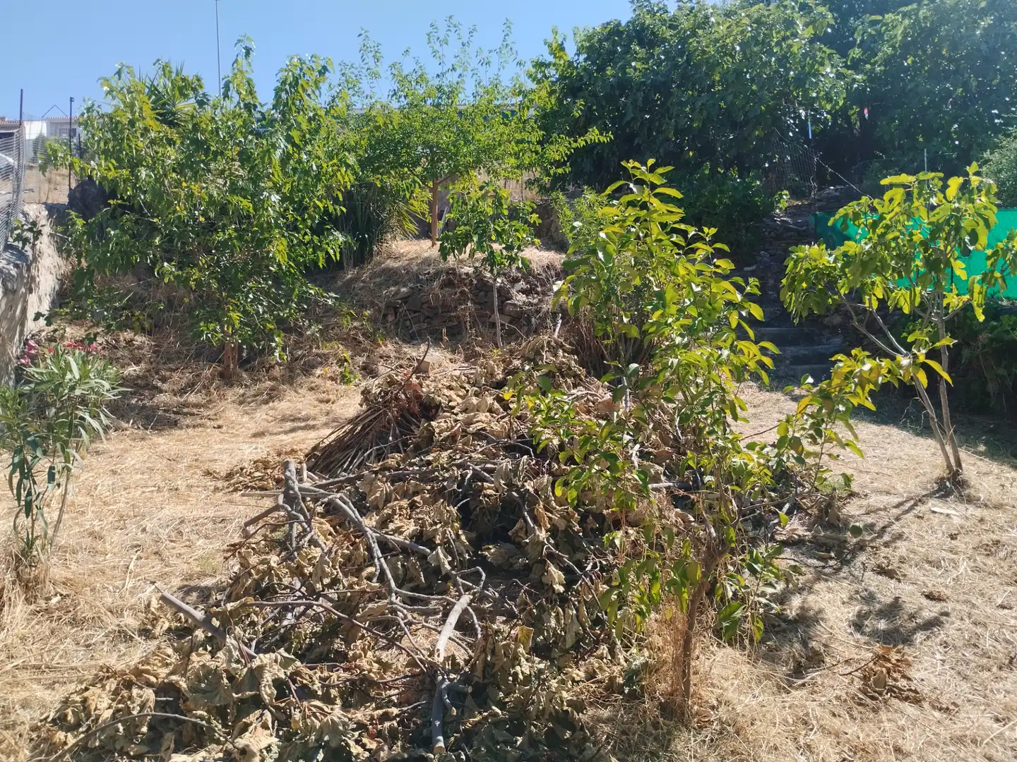 Haus mit Garten zum Verkauf in Jerez de los Caballeros, imagen 26