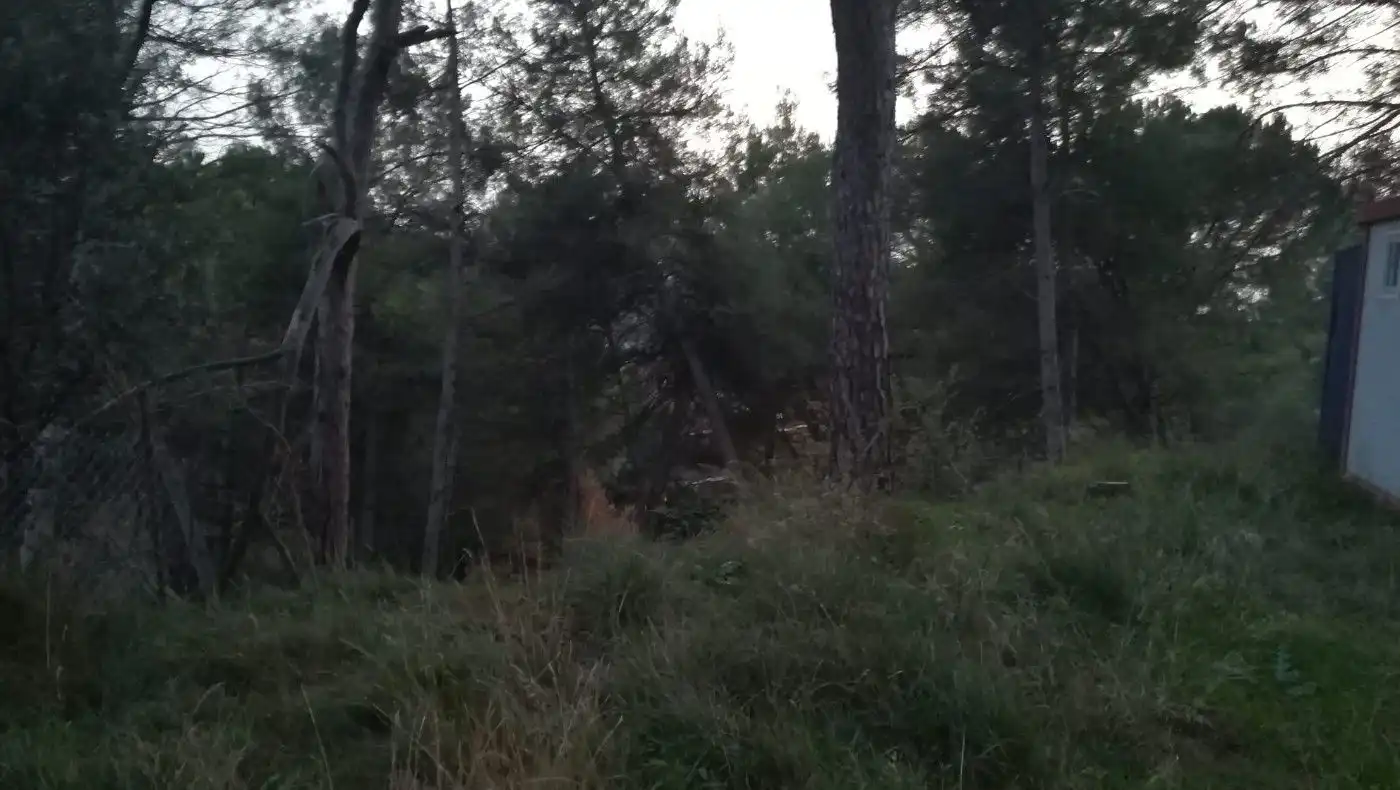 Wohnbaugrundstück zum Verkauf in Sant Fruitós de Bages, imagen 5