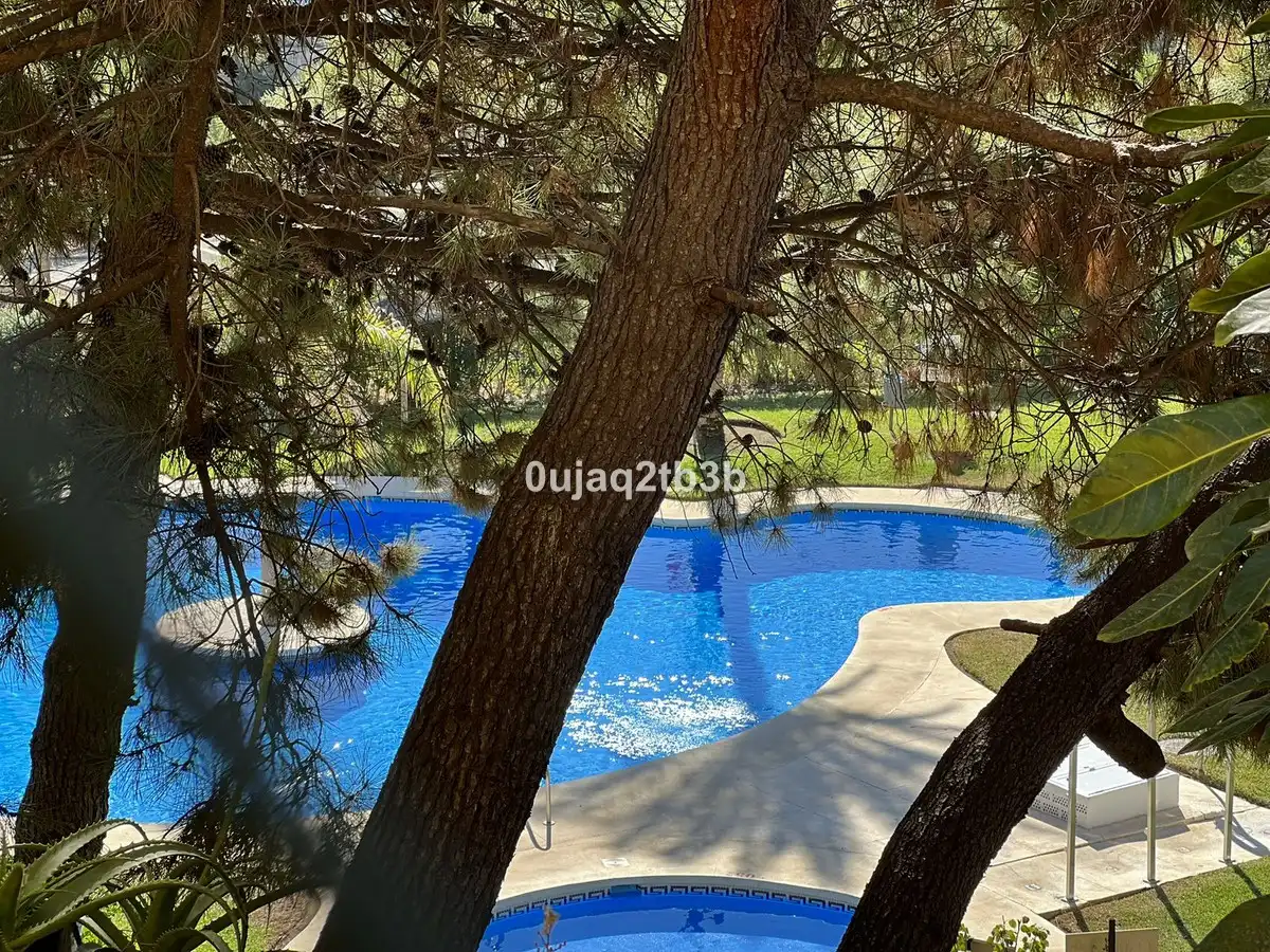 Piscina de Apartament en venda en Selwo