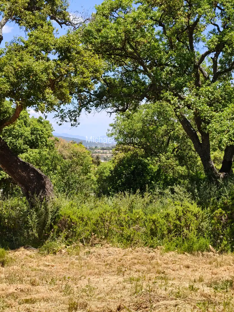 Terreni e lotti in vendita a Sotogrande Alto, imagen 10