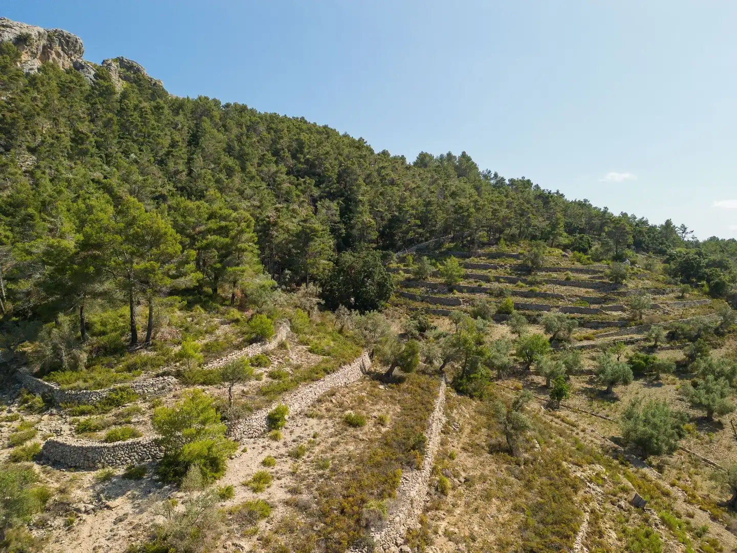 Finca rústica en venta en Escorca con Jardín privado, Terraza y Trastero