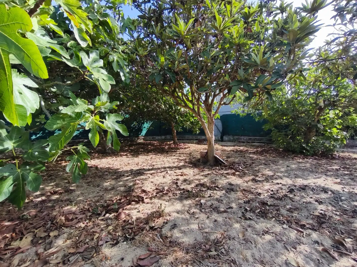 Casa o xalet en venda en Los Franceses – La Vega