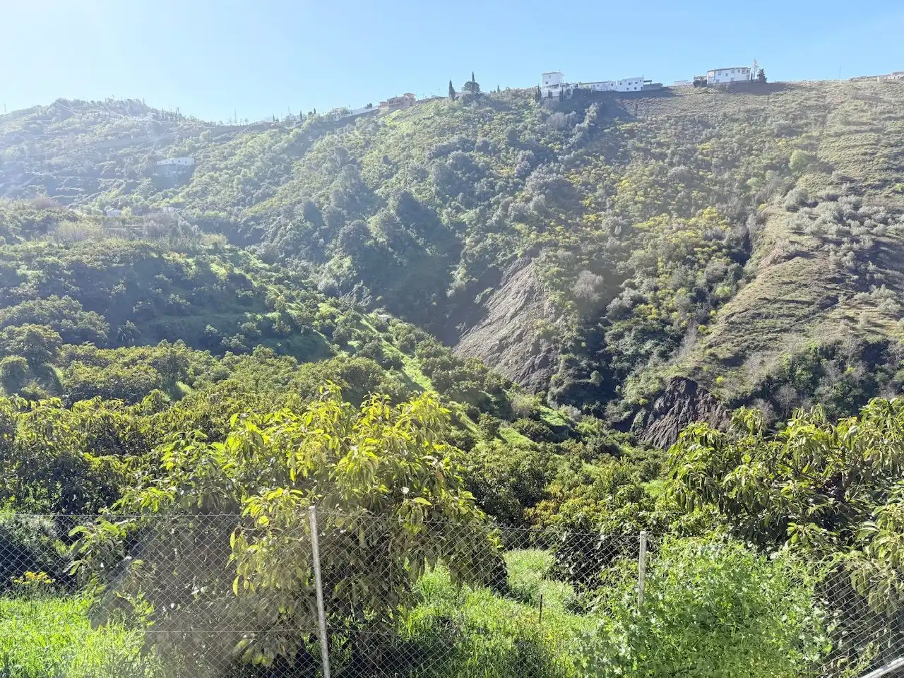 Exterior view of Land for sale in Canillas de Albaida