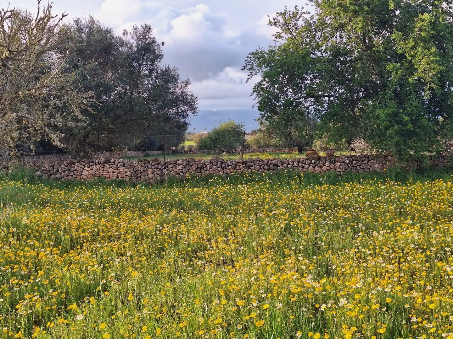 Finca rústica en venta en Algaida