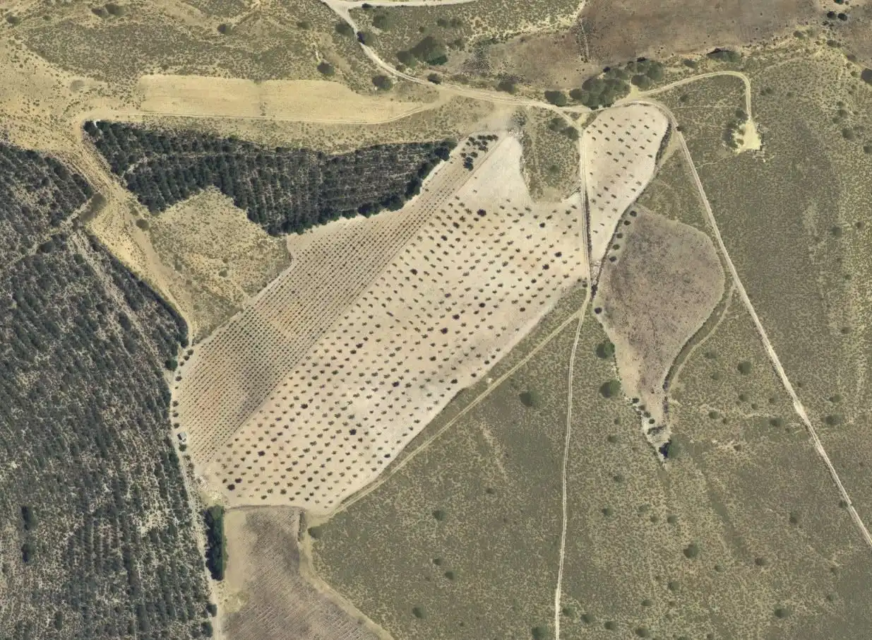 Rustikales Grundstück zum Verkauf in Cieza, imagen 2