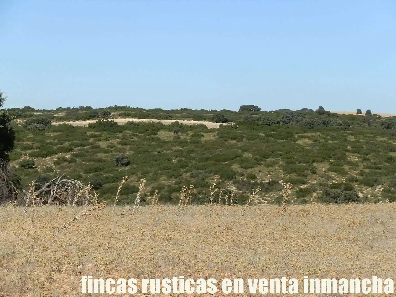 Terreno en venta en Albacete