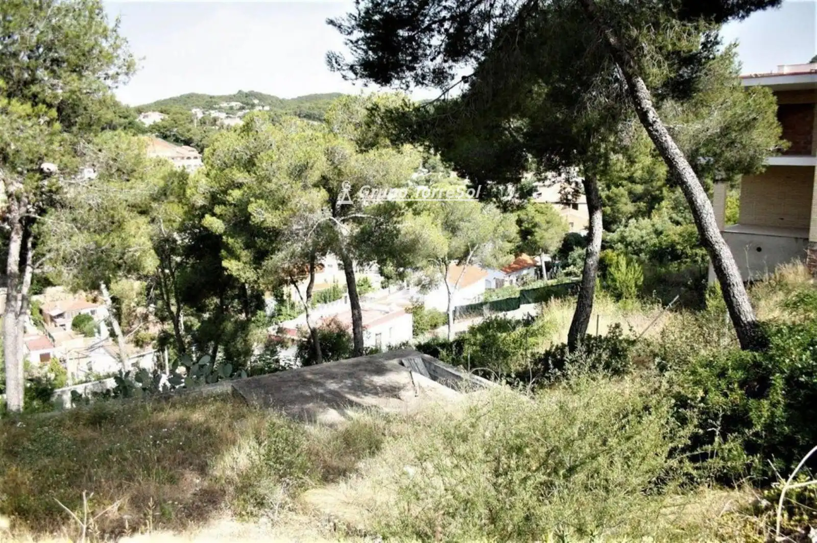 Terrain rustique à vendre à el Greco, imagen 4