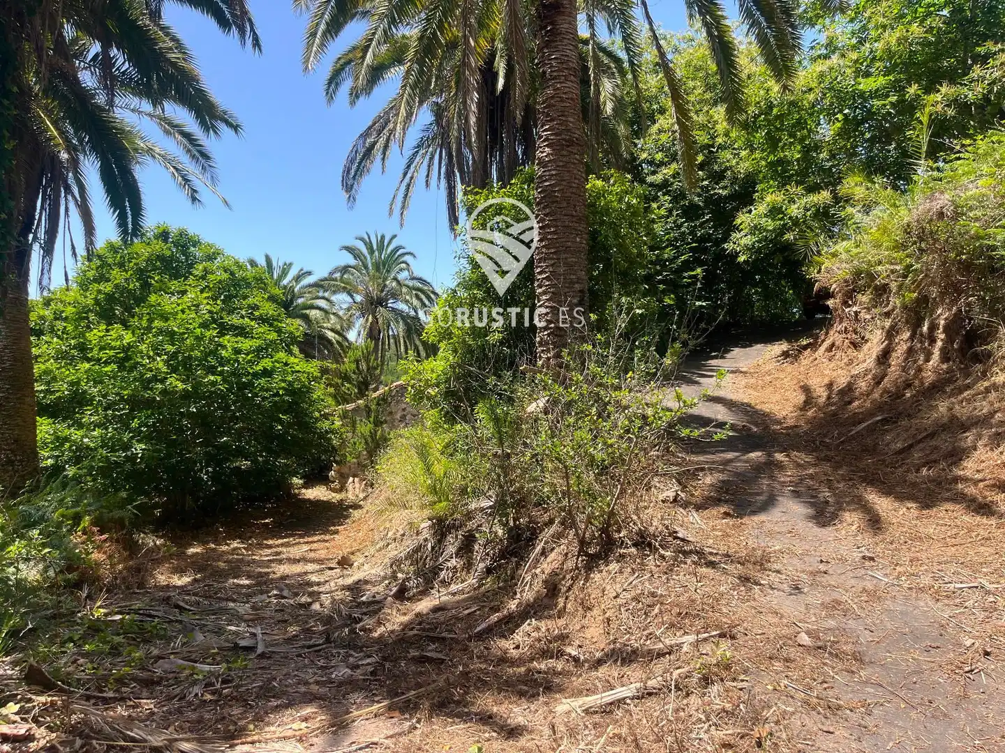 Terreno rústico en venta en Cruz de Tierno, Pol 2; Parc. 344 y 10344, imagen 30